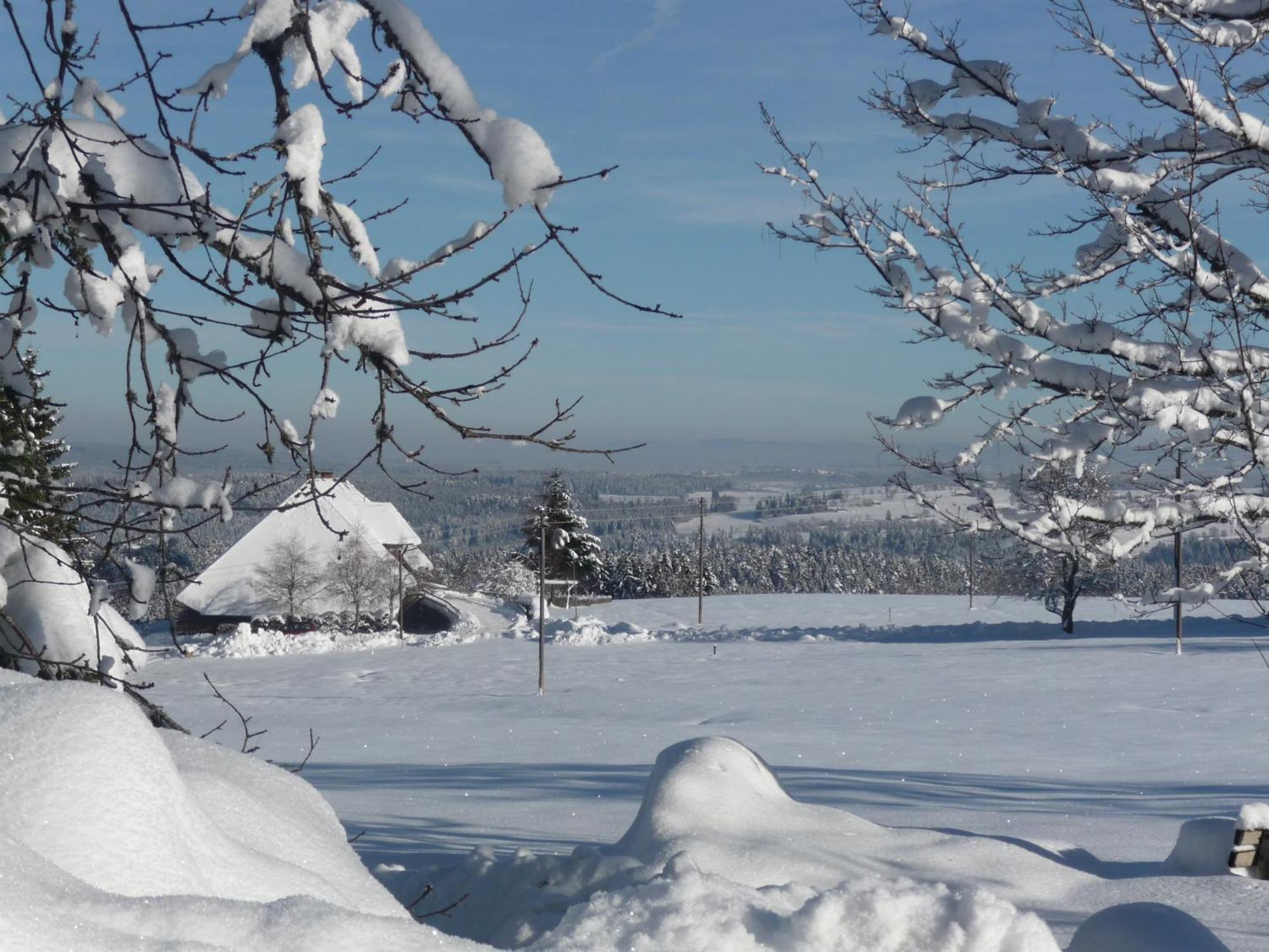 Hoehenpension Glashuette Bed&Breakfast Fruehstueckspension Hotel Garni Bonndorf im Schwarzwald Zewnętrze zdjęcie