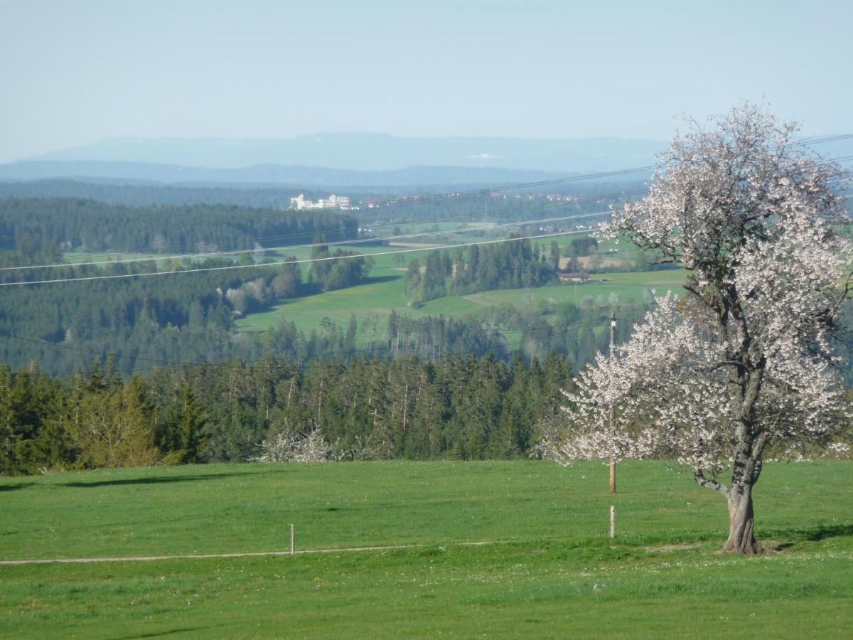 Hoehenpension Glashuette Bed&Breakfast Fruehstueckspension Hotel Garni Bonndorf im Schwarzwald Zewnętrze zdjęcie